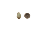 Earth's Treasure -  Green Agate Adjustable Ring - 1 In. x 1 In.