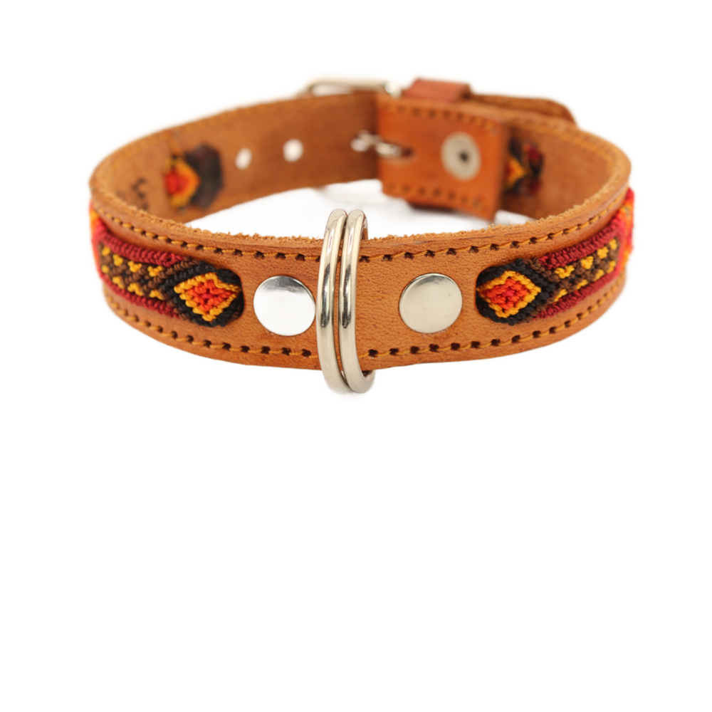Fall is Here! - Knitted Leather Dog Collar - Black and Orange