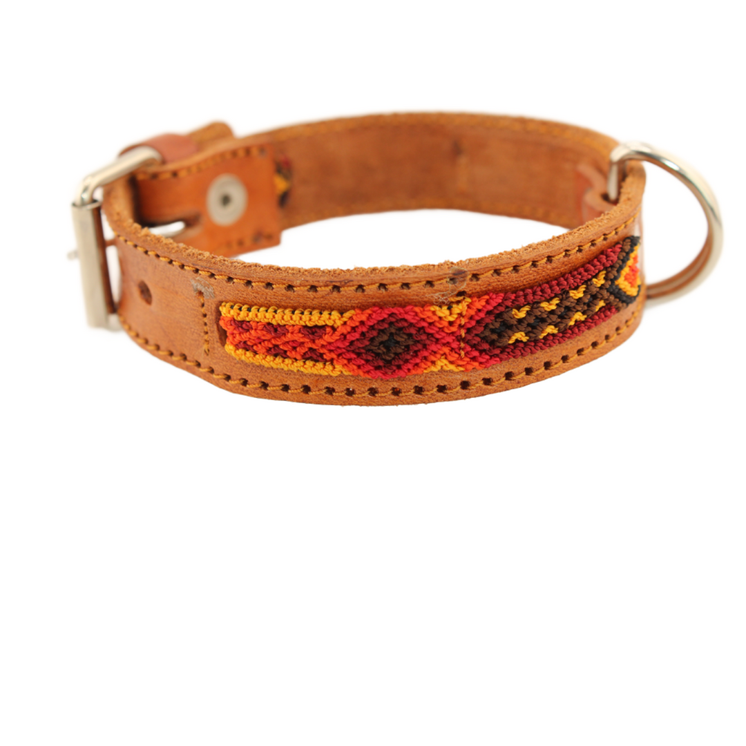 Fall is Here! - Knitted Leather Dog Collar - Black and Orange