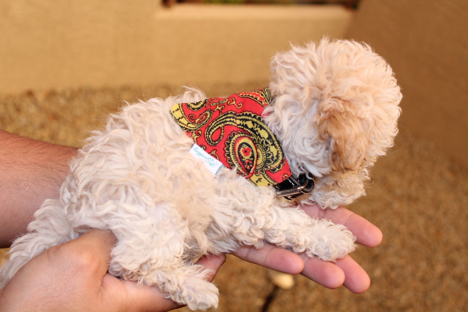 Nos héros - Bandana pour chien