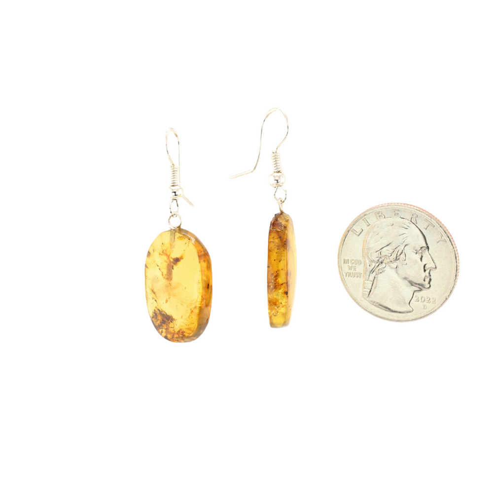 Oval Amber Earrings - Size Reference with US Quarter Coin